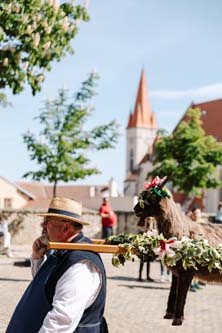 Festival vína VOC Znojmo